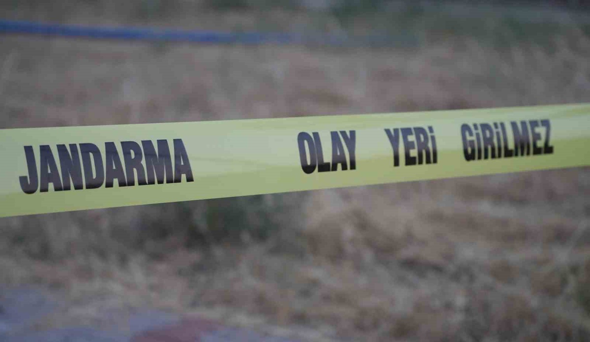 Köpek Kavgası Sebebiyle Cinayet