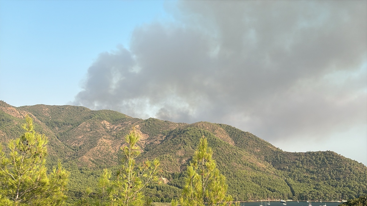 Marmaris\'te Orman Yangını