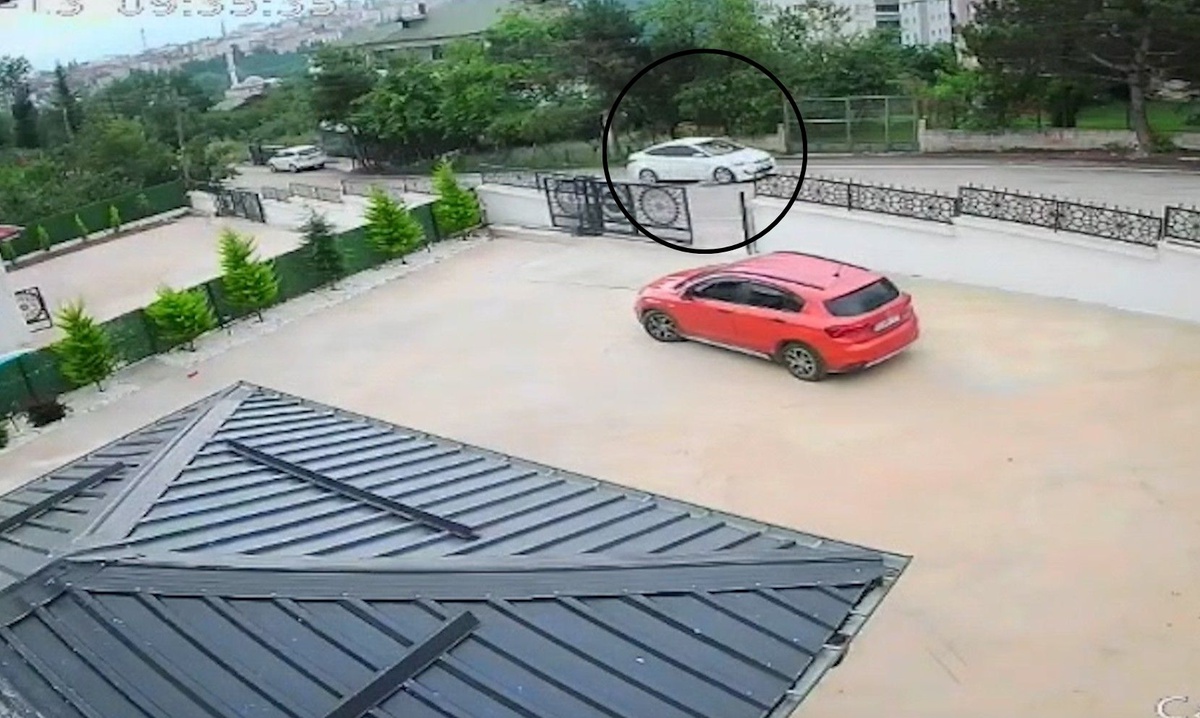 Köpeğe Çarpan Sürücü Kaçtı, Küçük Kız Bayıldı