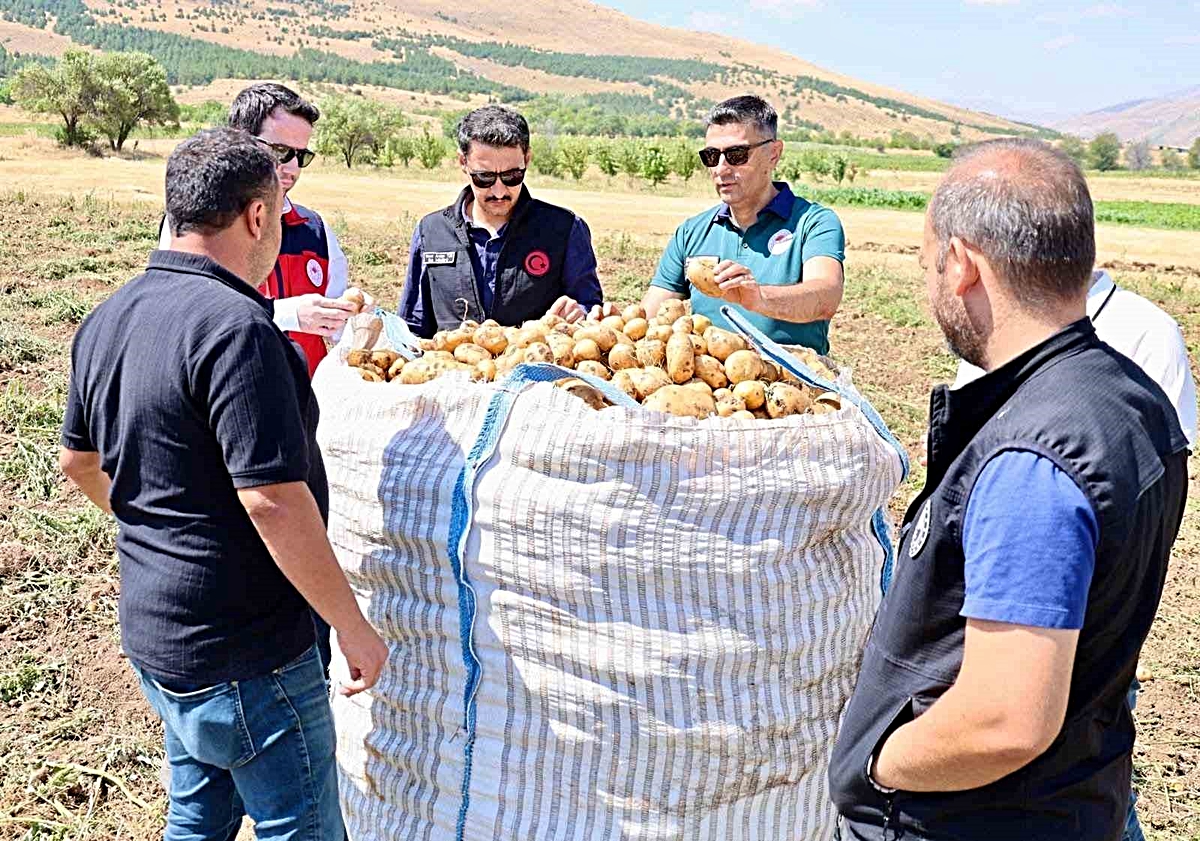 Şuhut\'ta Patates Hasadı Değerlendirildi