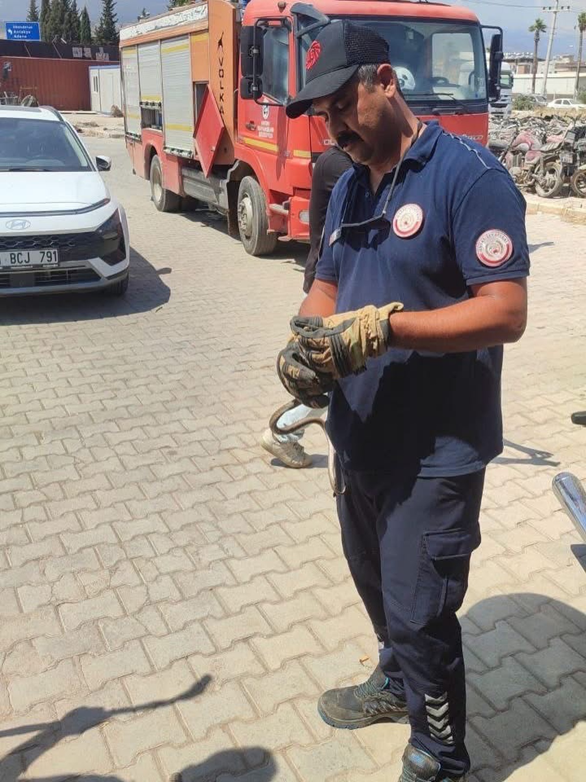 Yılanlar Güvenle Yakalandı