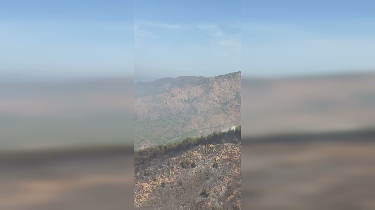 Marmaris\'teki Orman Yangını Kontrol Altına Alındı