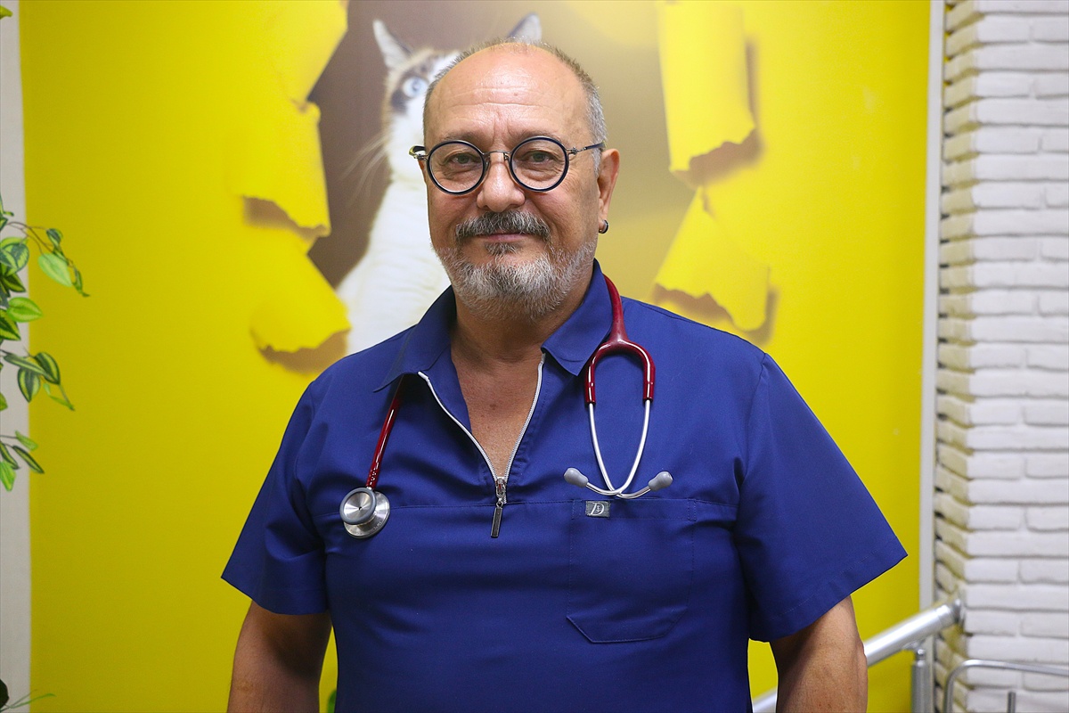 Kanserli Kedi Benek Ameliyatla Kurtarıldı