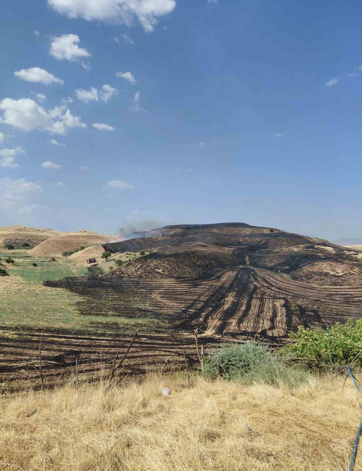 Siirt\'te Anız Yangını Meyve Bahçesine Sıçradı