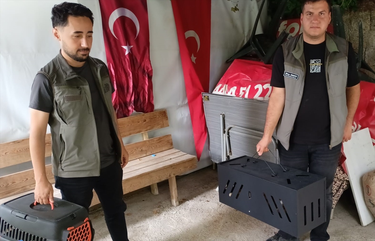 Mahsur Tilki Yavrusu Kurtarıldı