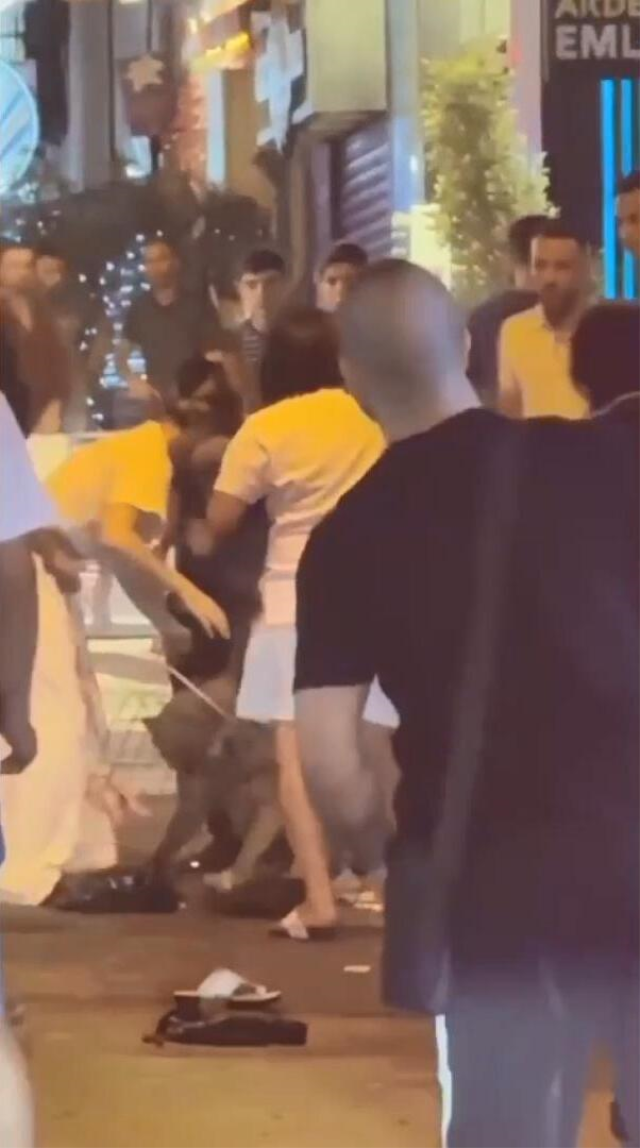 Beyoğlu sokakları kana bulandı! Pitbull saldırdı, sahibi bıçaklandı