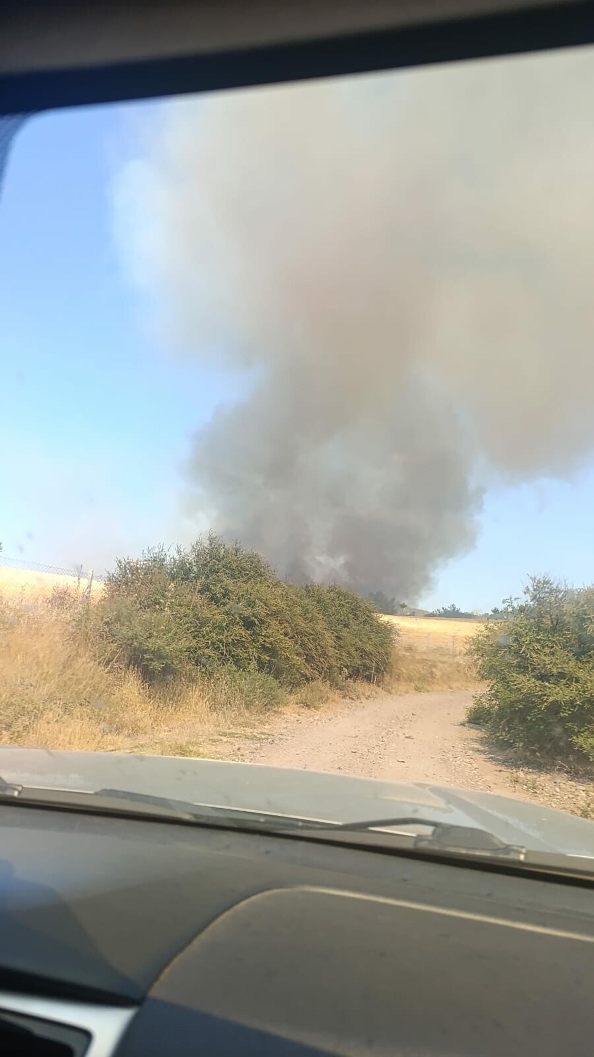 Çanakkale\'de Yangın Ormana Sıçradı
