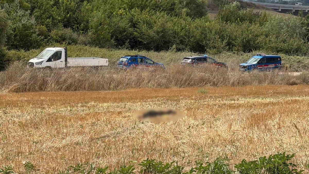 Kayıp yaşlı adamın cansız bedeni buğday tarlasında bulundu