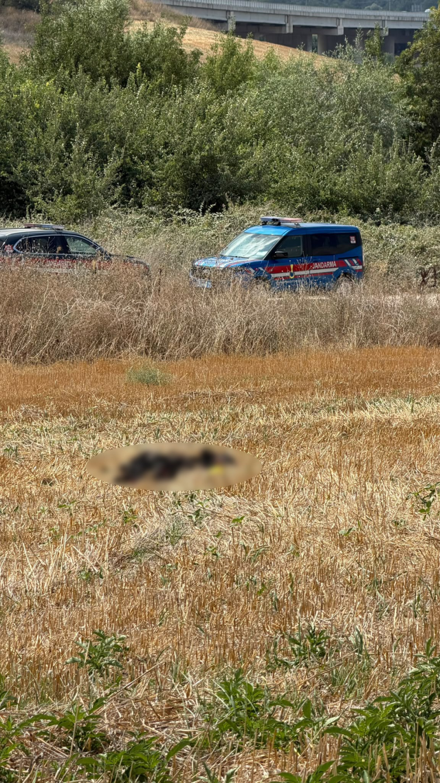 Kayıp yaşlı adamın cansız bedeni buğday tarlasında bulundu