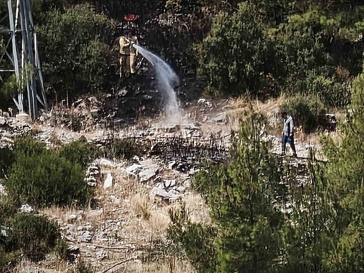 Menteşe\'de Yangın Kontrol Altında