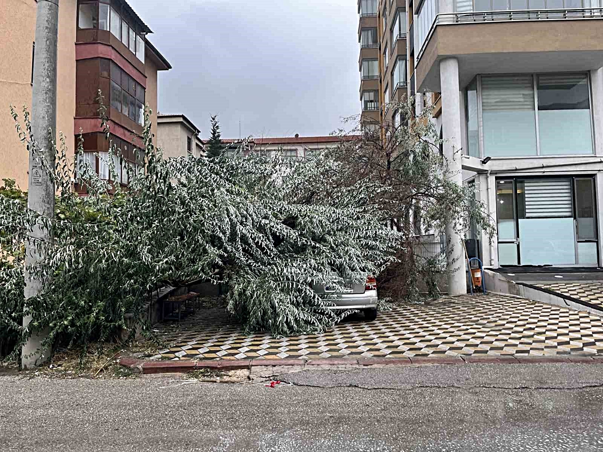 Niğde\'de Ağaç Devrildi, Araç Hasar Gördü