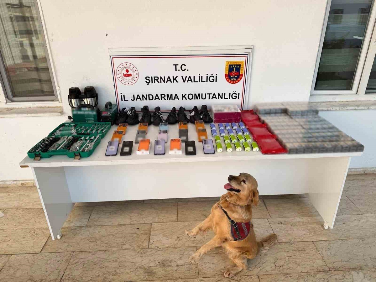 Şırnak\'ta Kaçakçılık Operasyonu: 26 Milyon Liralık Malzeme Ele Geçirildi