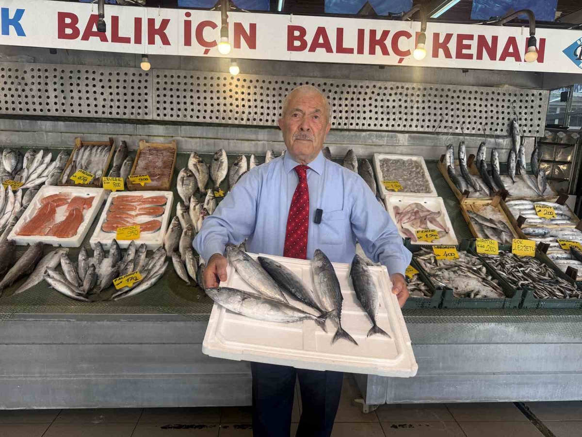 Balıkçılardan Umut Veren Haberler