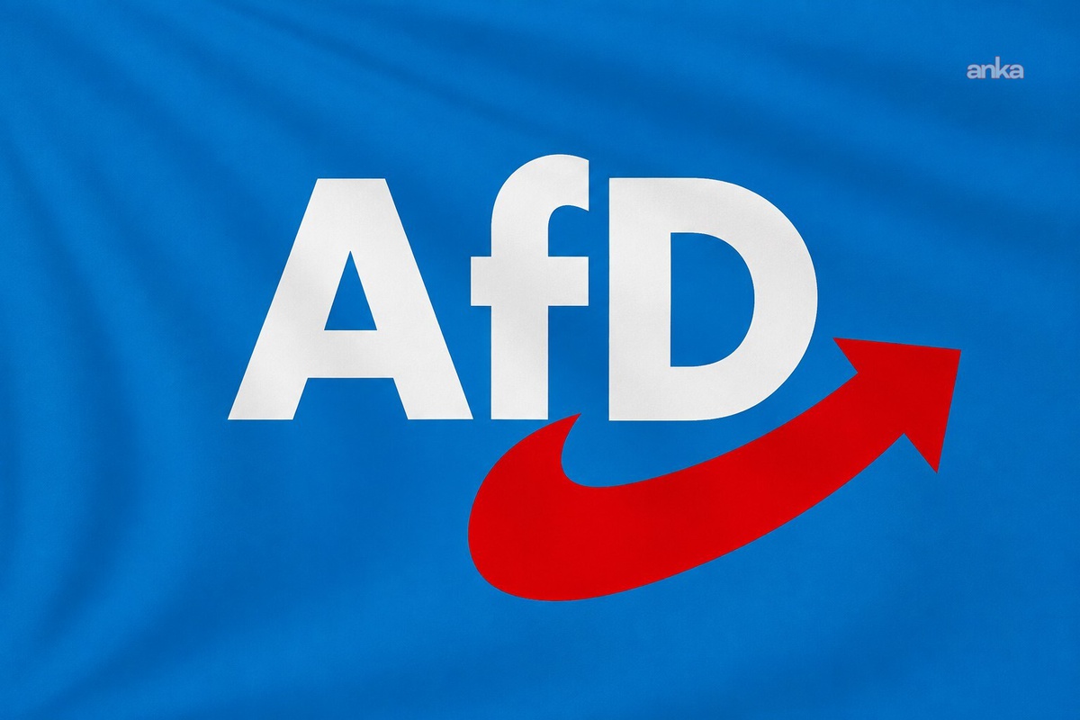 Almanya\'da AfD\'ye Karşı Vatansever Kampanya