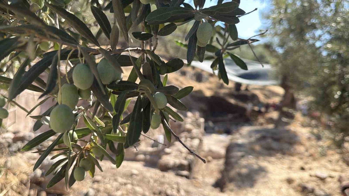 Antandros\'ta Geç Antik Çağ Kilisesi Kazısı Devam Ediyor