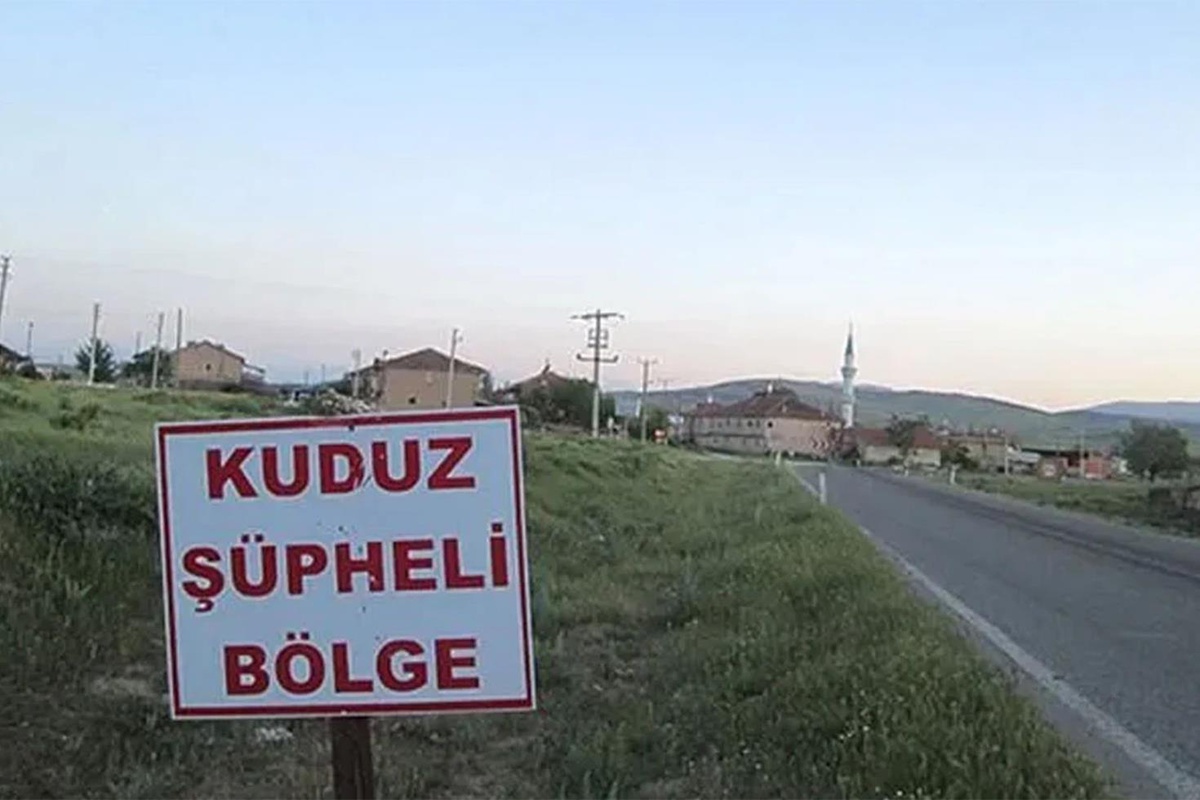 Ardahan\'da kuduz vakası nedeniyle bir bölge karantinaya alındı
