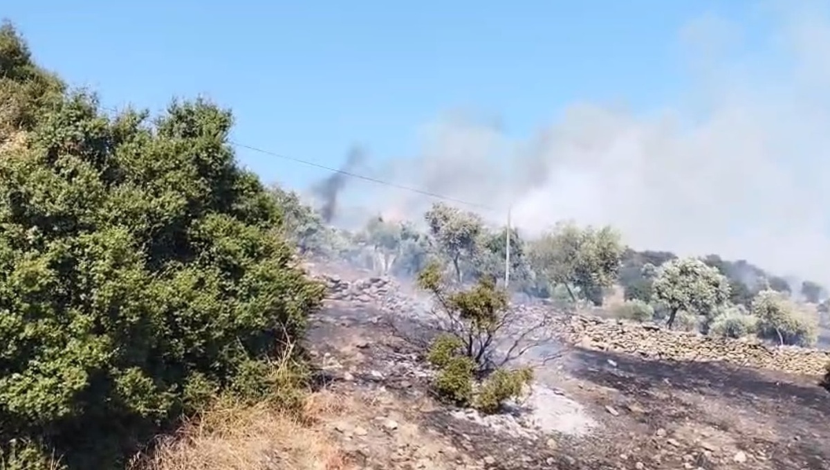 Çine’de zirai alanda yangın