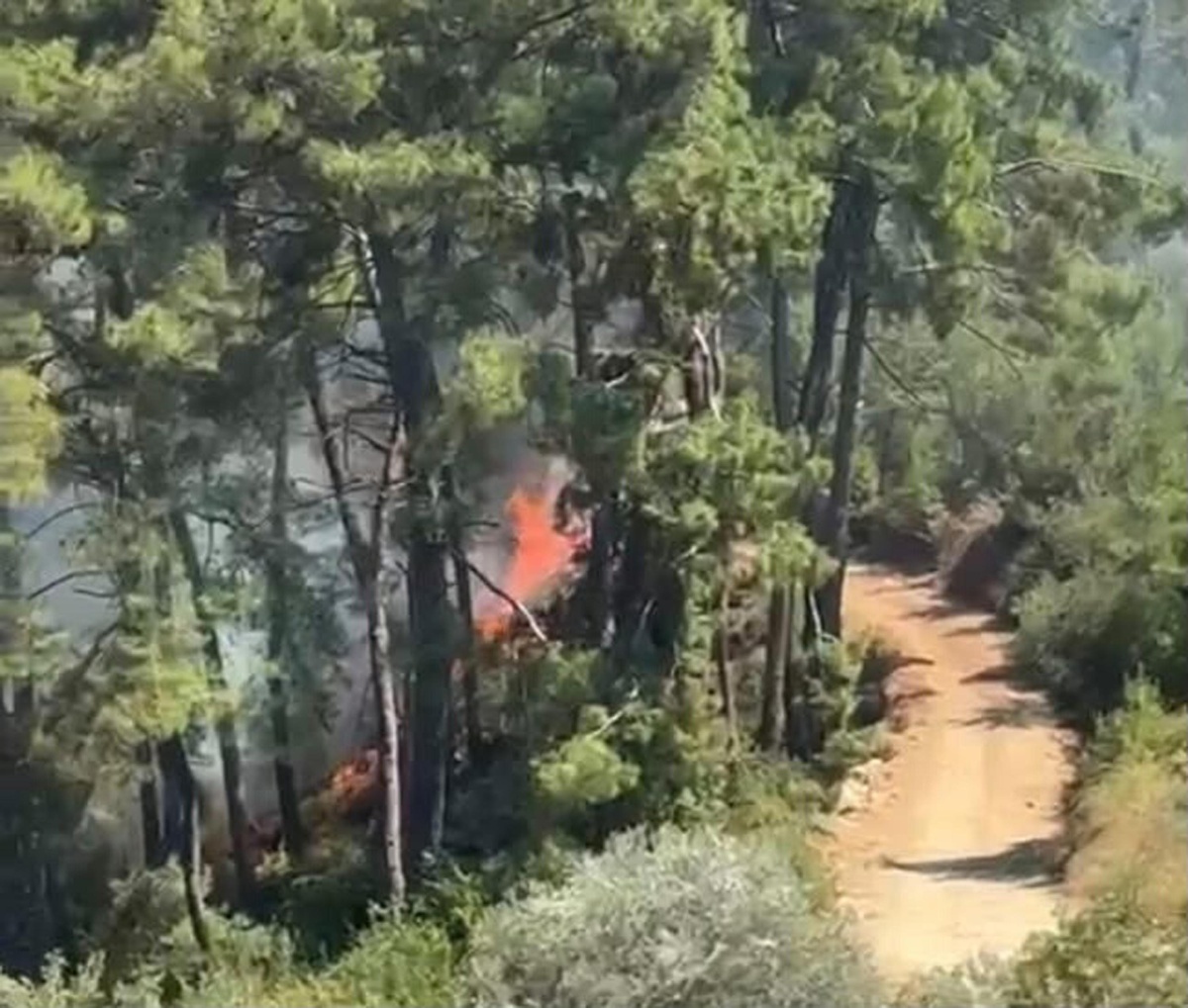 Fethiye\'de Orman Yangını Kontrol Altına Alındı