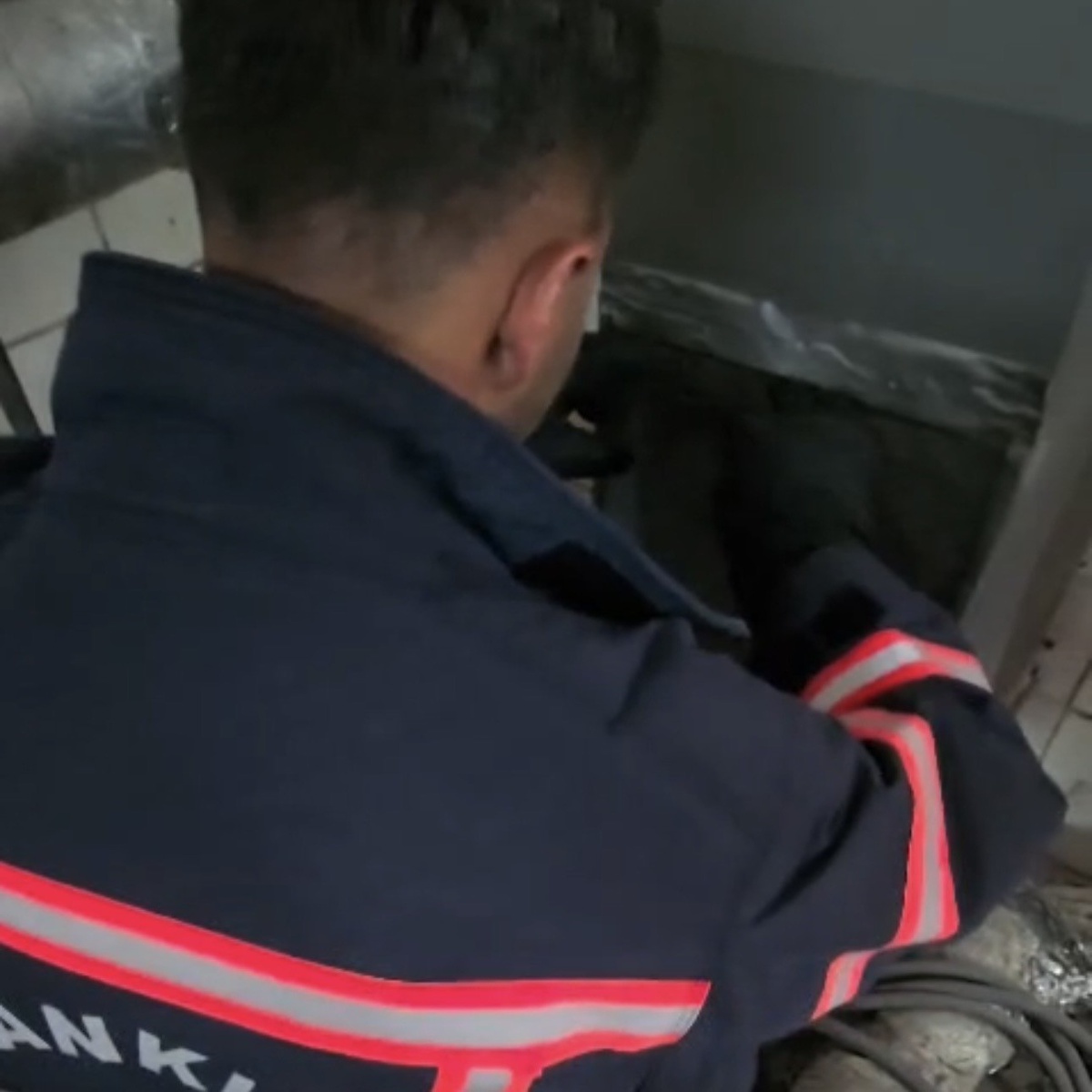 Yavru Kedi Havalandırma Boşluğundan Kurtarıldı