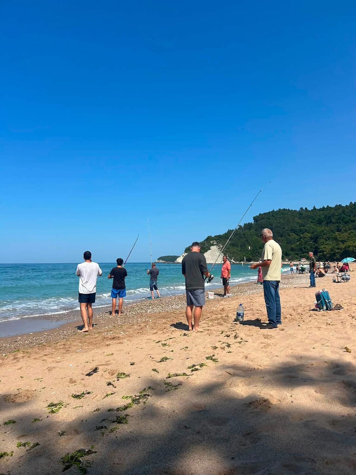 Soğuyan Deniz Balıkları Kıyıya Getirdi