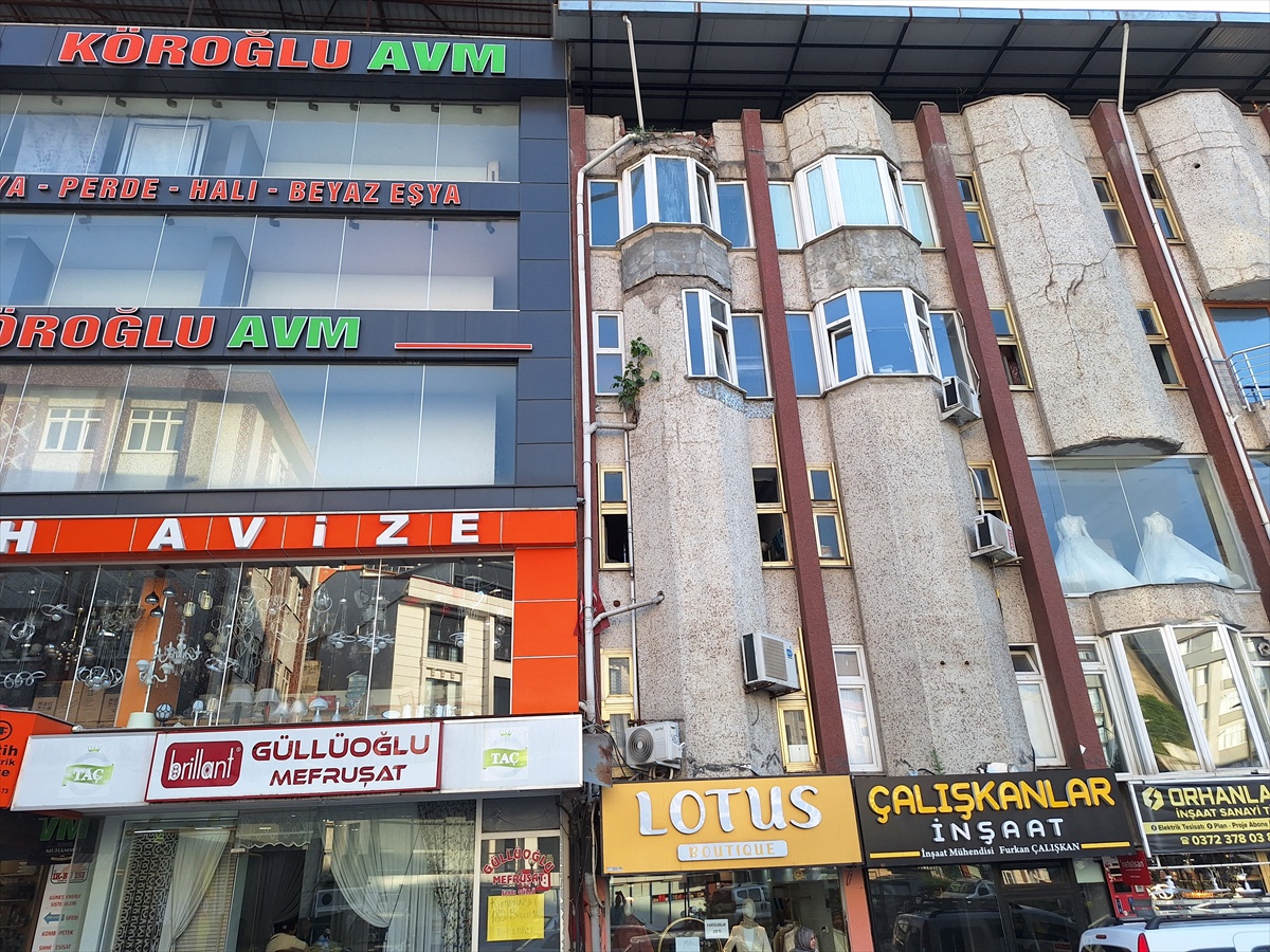 Beton Duvarda İncir Ağacı Büyüyor