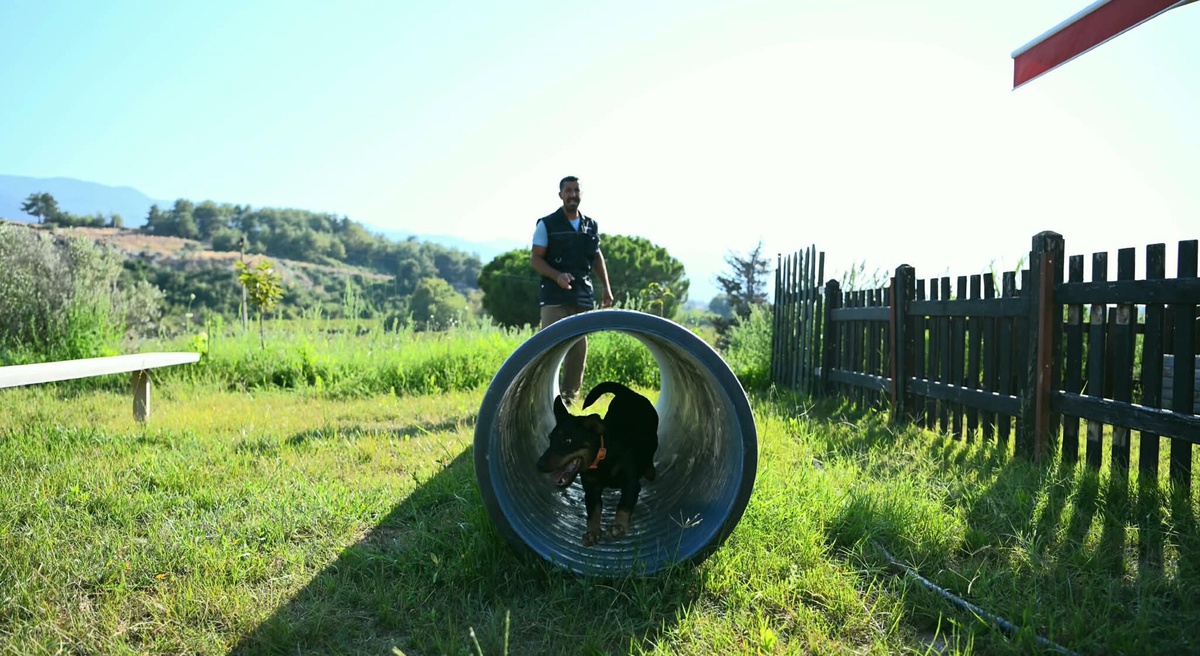 Tevfik Gül\'ün Arama Köpekleriyle Kurtardığı Hayatlar