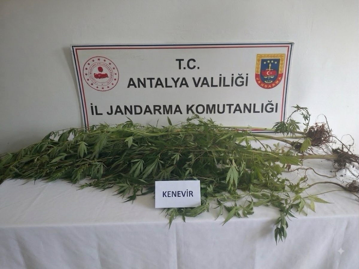 Alanya\'da uyuşturucu operasyonu: 4 gözaltı