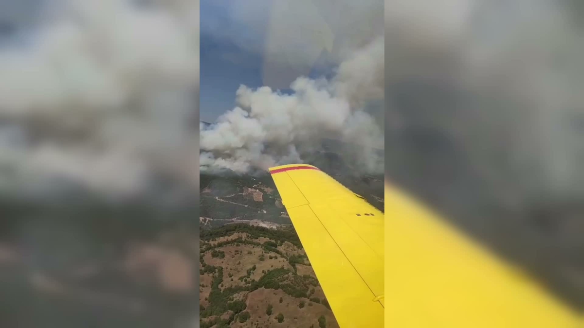 Sındırgı\'da Yangın Ormana Sıçradı