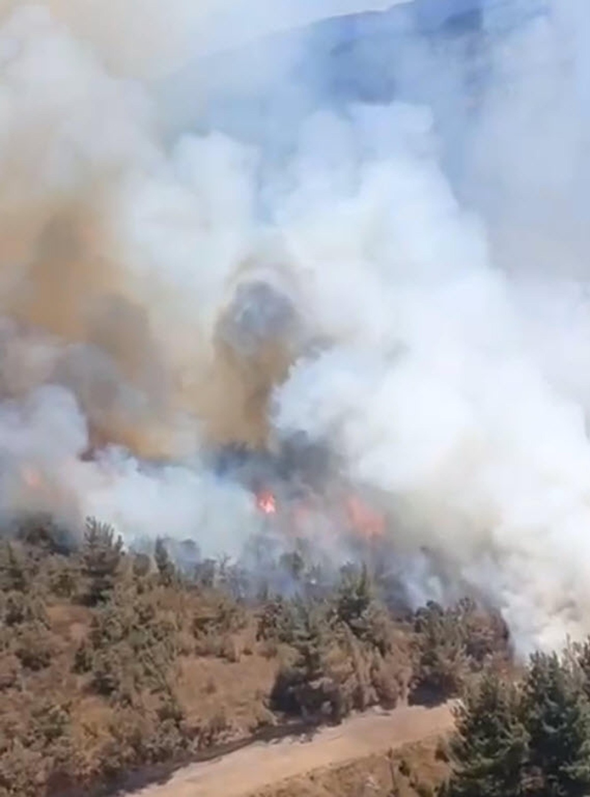 Sındırgı\'da Yangın Ormana Sıçradı
