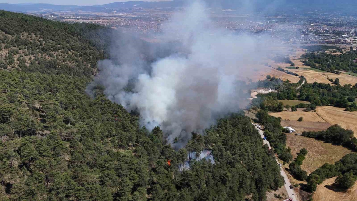 Bolu’daki orman yangını kontrol altına alındı