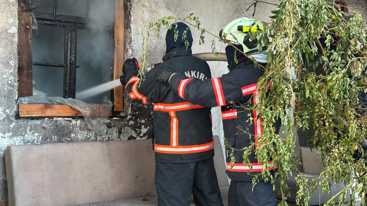 Ilgaz\'da Yangın: 2 Ev ve 1 Hayvan Yandı