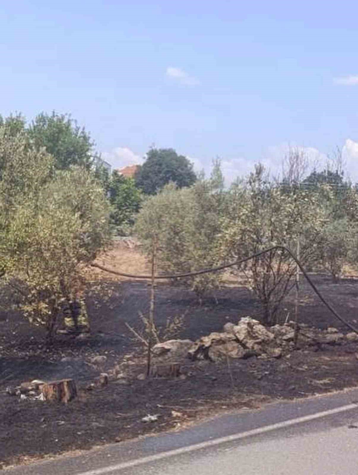 Dörtyol\'da bahçe yangını kontrol altına alındı