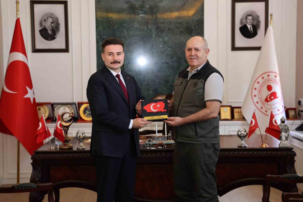 Gökçeada\'da Orman Varlığı Korunuyor