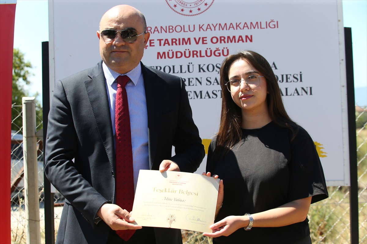 Safranbolu\'da Safran Ekimi Başladı
