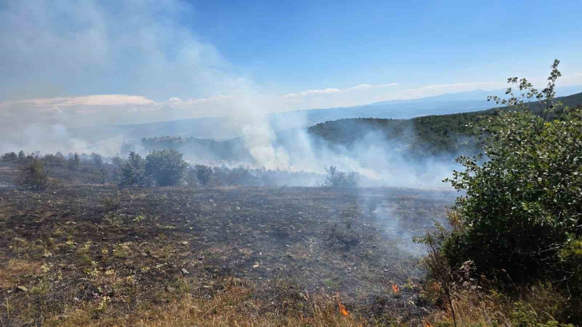 Taşköprü\'de orman yangını kontrol altında