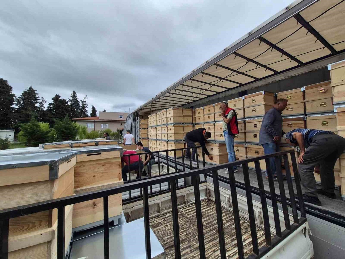 Çanakkale\'de Arıcılara 2 Bin Kovan Dağıtımı Tamamlandı