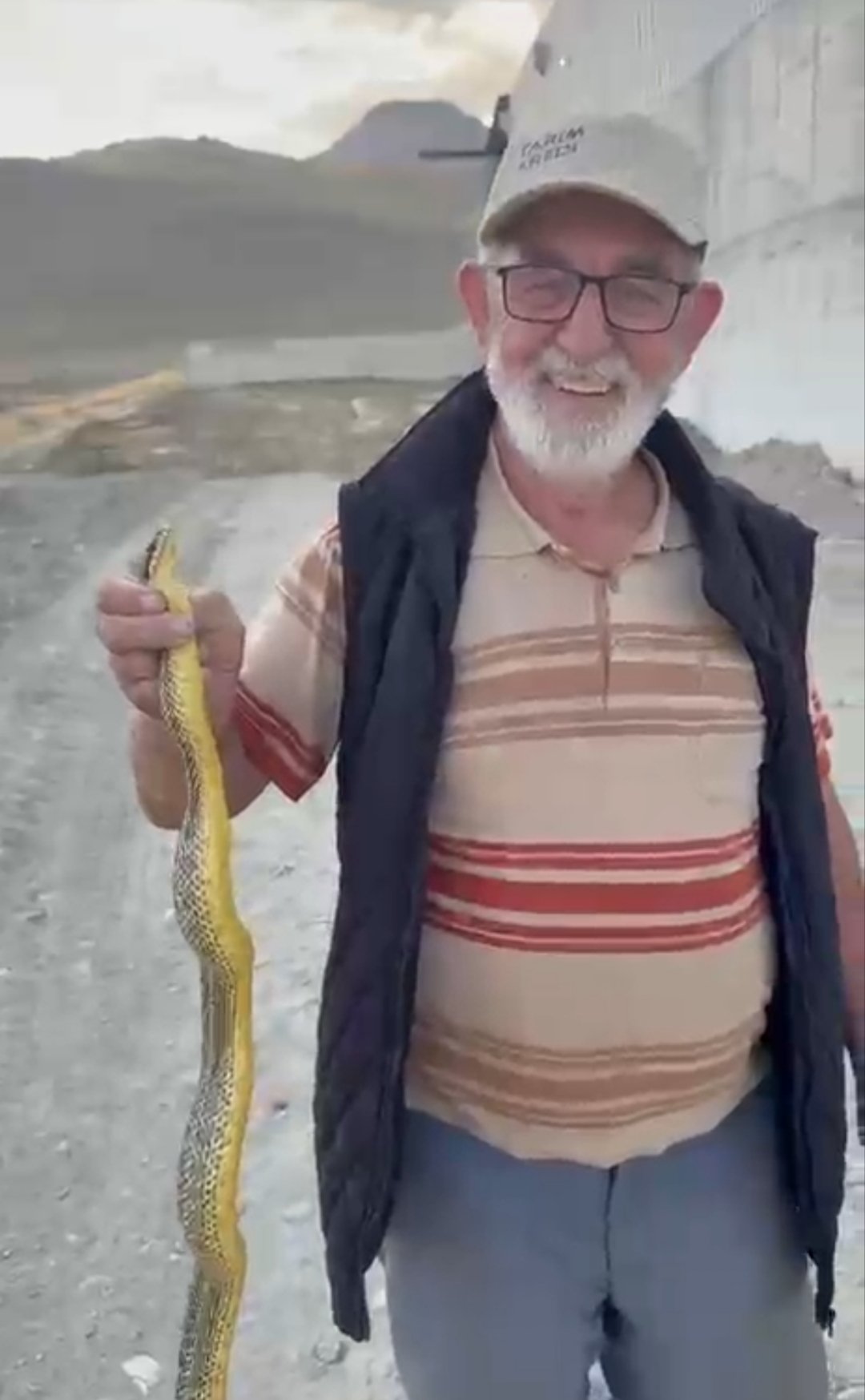 Yeşilhisar'da Sarı Yılan Paniği!