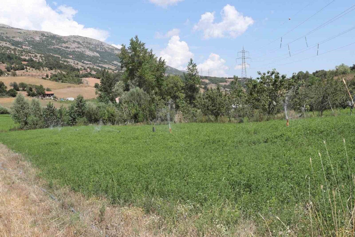 Amasya\'da Modern Sulama Projesi