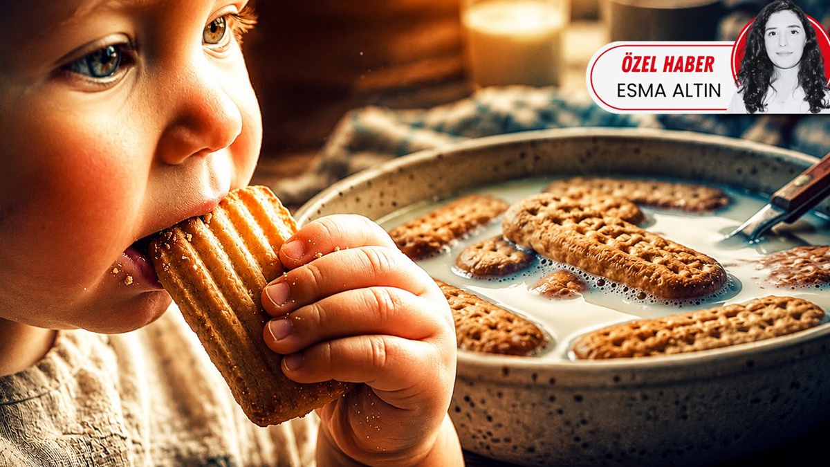 İşsizlik Oranı Yüzde 7,9\'a Düştü