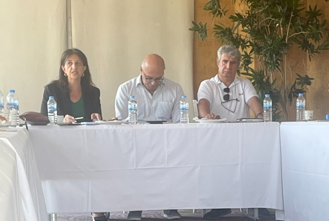 Buldan: Silahsızlanma ve siyasallaşma kurulunda Öcalan yer alacak