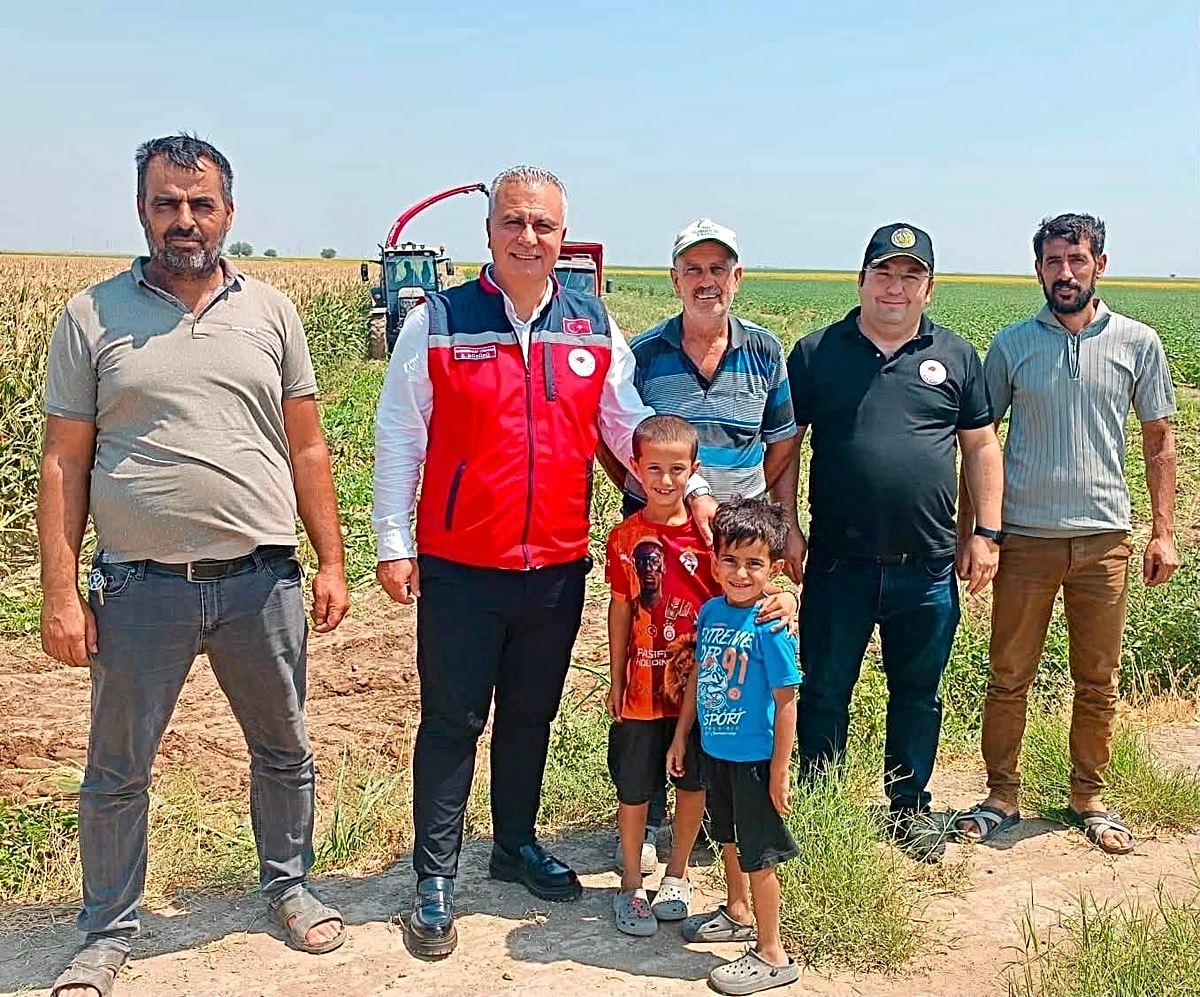Hatay\'da Silajlık Mısır Hasadı