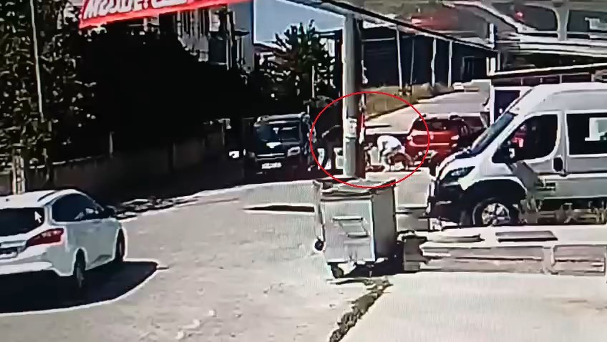Kapaklı\'da Köpek Saldırısı