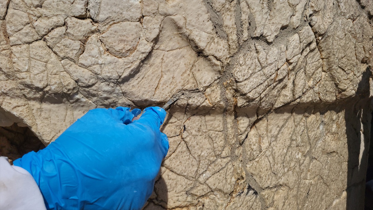 Nemrut Dağı Heykellerine Nanoteknolojiyle Bakım