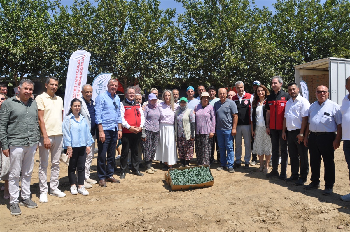 İzmir\'de Üreticilere Fide Desteği