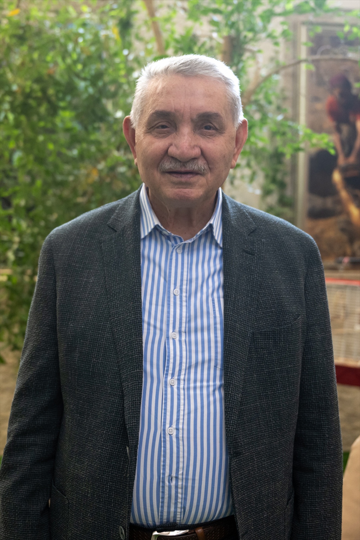 Orman Yangınları için Uyarı