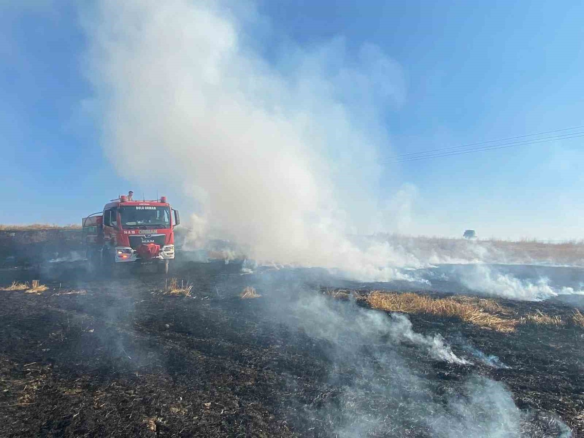Dörtdivan\'da Elektrik Direği Yangın Çıkardı