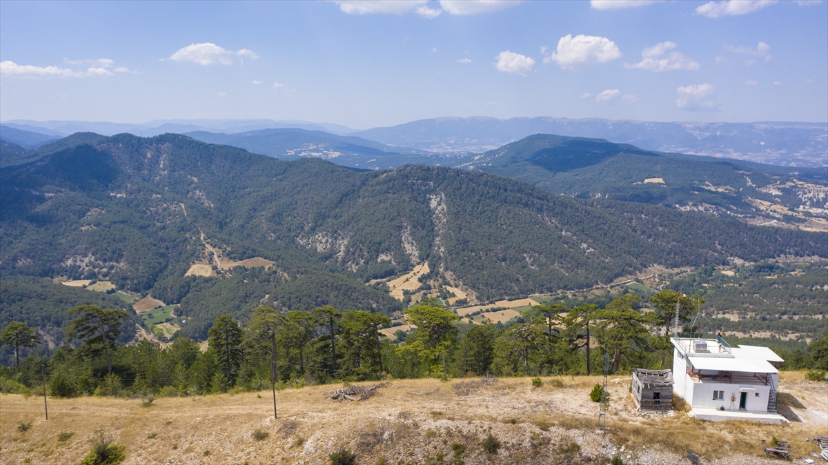 Bolu ve Düzce\'de Orman Yangınlarına Karşı Gözetim