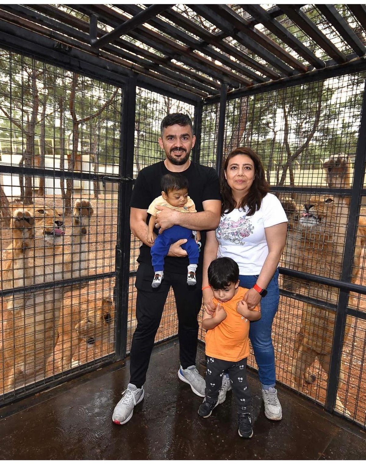 İhmal İddiası: Bulut\'un Karaciğer Nakli Süreci