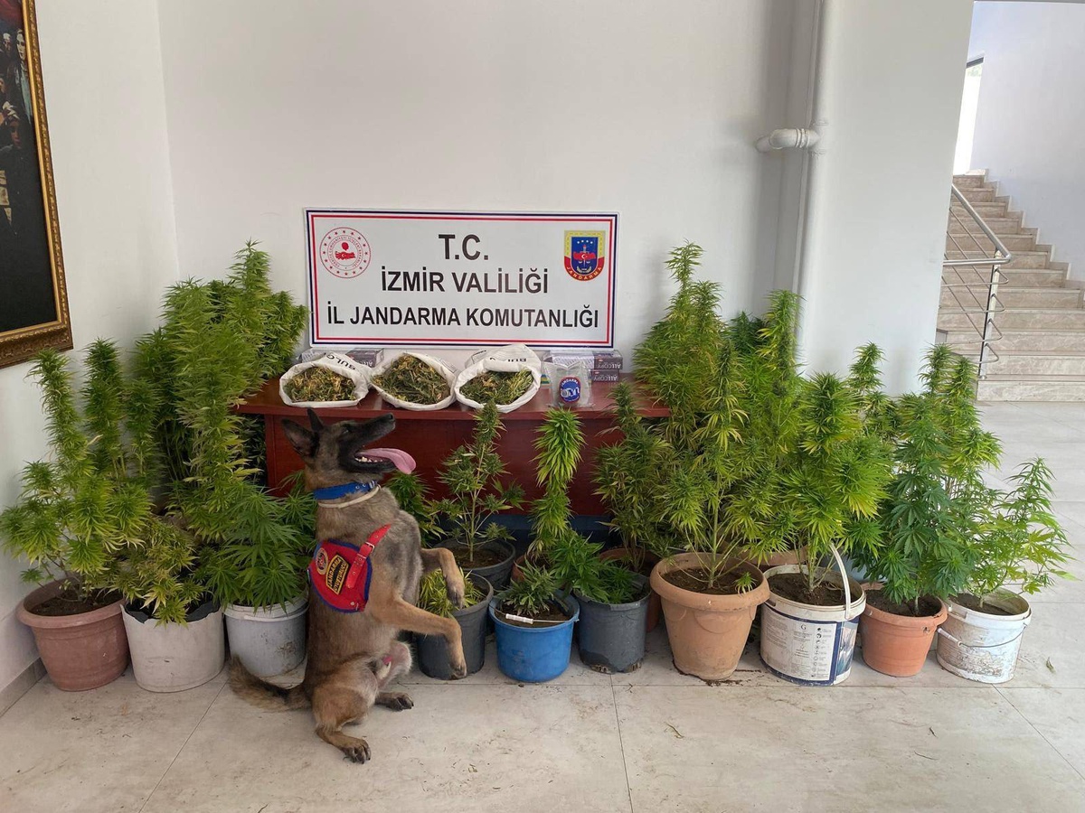 İzmir\'de Uyuşturucu Operasyonu: 10 Gözaltı