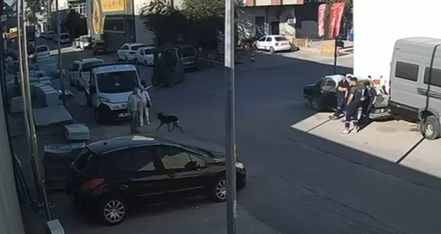 Köpekten kaçarken fenalaşıp hayatını kaybetti! O anlar saniye saniye kameraya yansıdı